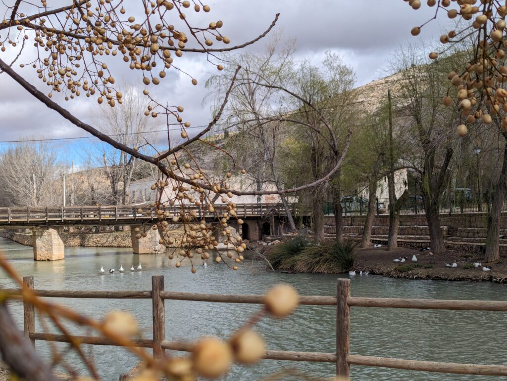 Pueblo La Recueja Puente Patos