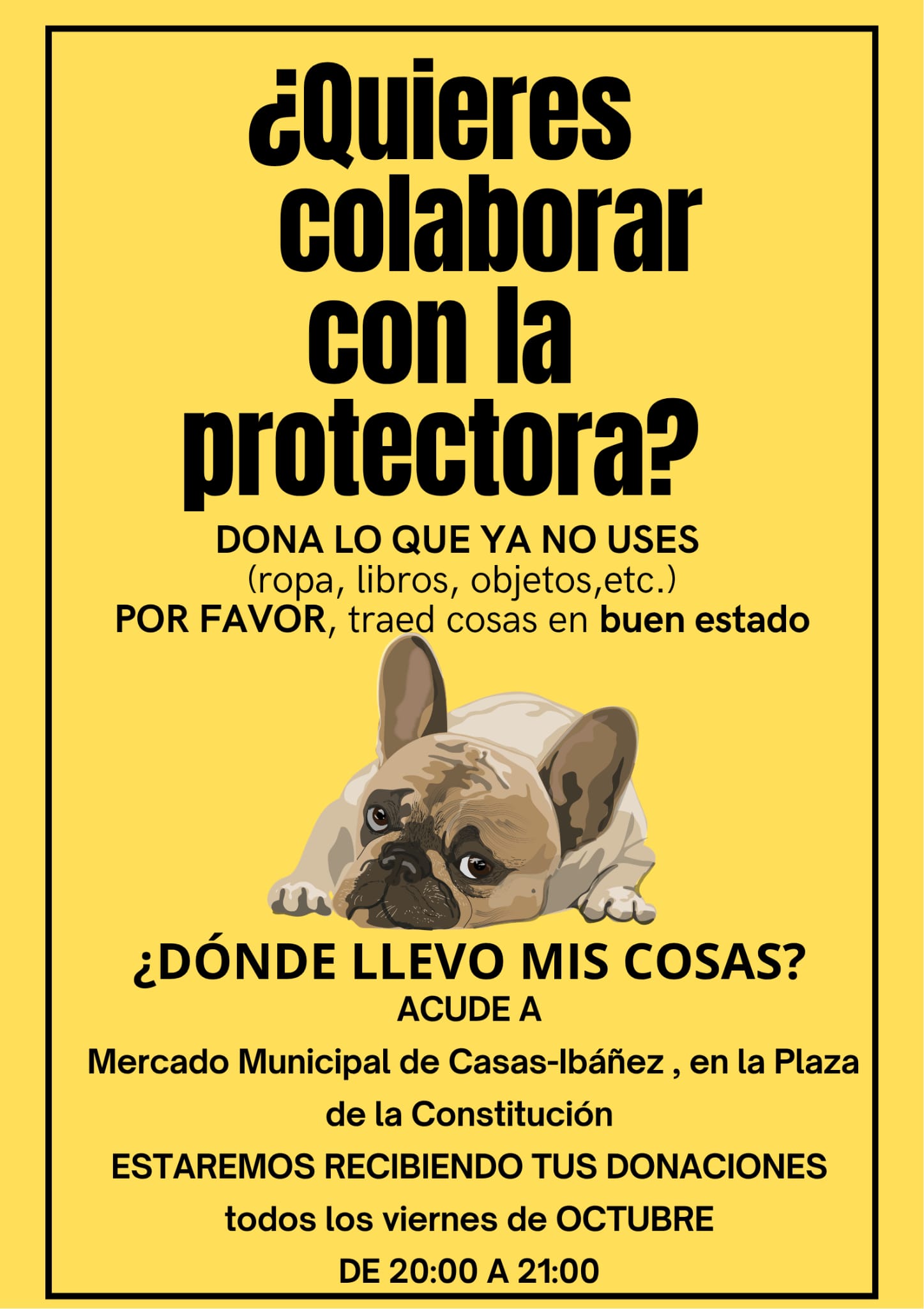 Imagen del evento: Recogida de donaciones para la Protectora El Refugio