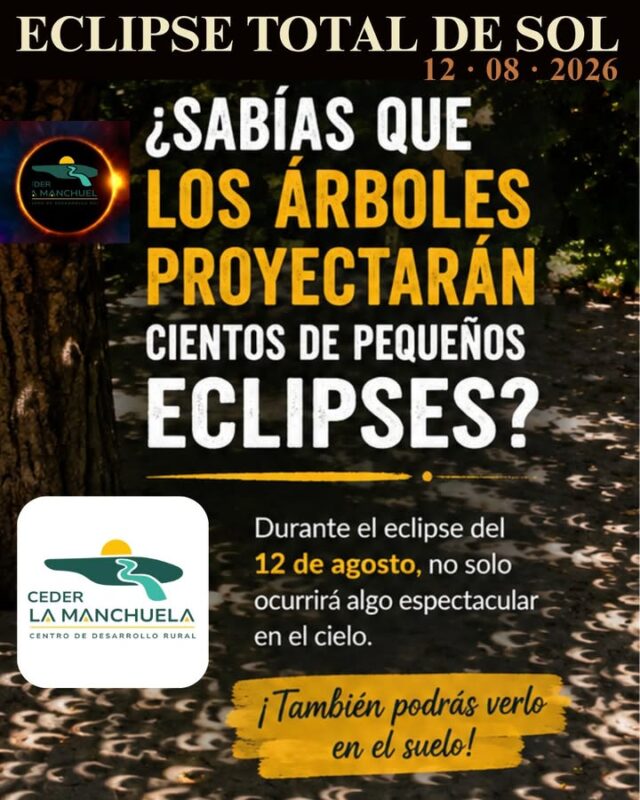 🌳 El eclipse no solo estará en el cielo… también aparecerá bajo tus pies.

Durante el eclipse solar del 12 de agosto, los huecos entre las hojas de los árboles actuarán como pequeñas cámaras oscuras naturales, proyectando sobre el suelo cientos de imágenes del Sol eclipsado.

✨ En lugar de los habituales círculos de luz, podrás observar pequeñas medias lunas que reproducen la forma del eclipse.

👀 Es un fenómeno sencillo de ver, muy curioso y perfecto para disfrutar en familia.

📸 Si sales a observar el eclipse desde cualquier municipio de La Manchuela, no olvides mirar también al suelo y compartir tus fotografías con el hashtag #EclipseLaManchuela2026.

A veces, los detalles más sorprendentes de un eclipse no están en el cielo… sino justo delante de nuestros ojos.

#EclipseSolar2026 #LaManchuela #CEDERLaManchuela #Astronomía #Naturaleza #Curiosidades #DescubreLaManchuela