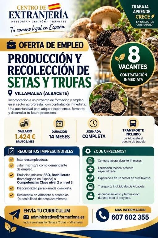 Oferta de empleo en la producción y recolección de setas y trufas.
